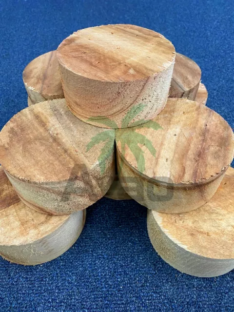 Camphor laurel wood turning blanks DIY TIMBER blanks 120mm x 60mm Seasoned 10pcs 2