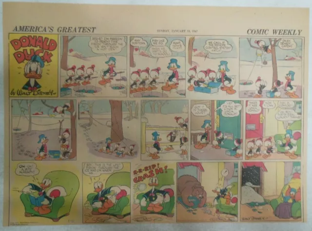 (51) Donald Duck Sunday Pages by Walt Disney from 1942 Half Page Size