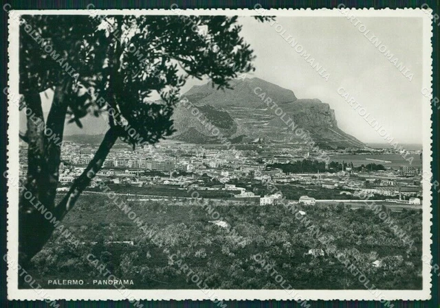 Palermo Città Foto FG cartolina KV7445