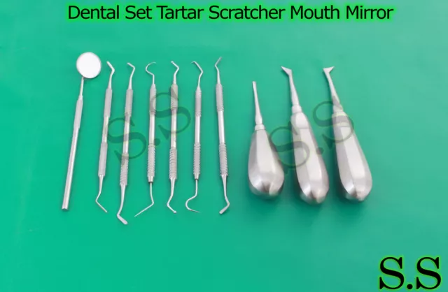 10 Dental Set Tartar Scratcher Mouth Mirror Elevator Heidemann Spatula DN-458