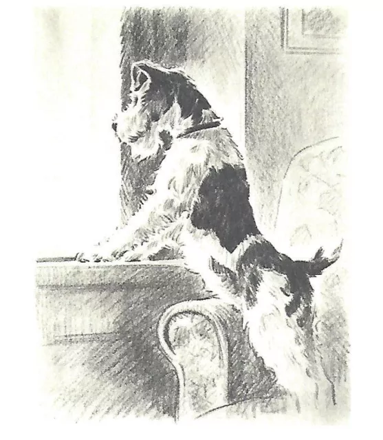 Wire Fox Terrier - CUSTOM MATTED - Dog Art Print Gift - M. Dennis CLEARANCE