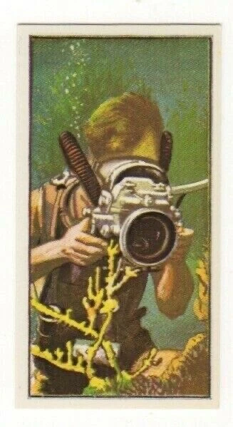 Tea Trade Card 1962. Photography. Underwater photography