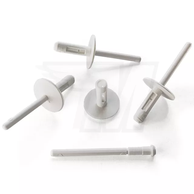 10x Paraurti Parafango Passaruota Rivetti IN Bianco per BMW Mini 07147391324
