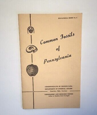 Common Fossils of Pennsylvania Donald Hoskins 1964 18-Page Pamphlet Illustrated