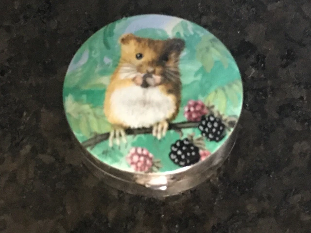 Stunning Silver And Enamel Pill Box Birmingham Hallmark