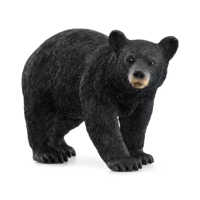 Schleich Wild Life Figure - American Black Bear