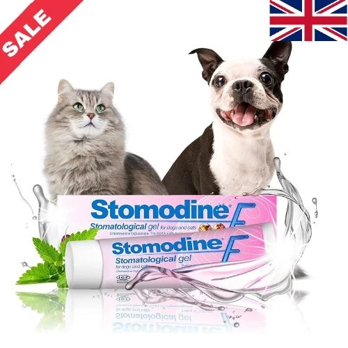 Pet Dental Health Stomodine F Cat & Dog Toothpaste Gel - Meat Flavoured 30ml