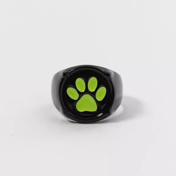 Miraculous Tales of Ladybug & Cat Noir CAT NOIR Adrien Agreste Ring Acrylic PSL