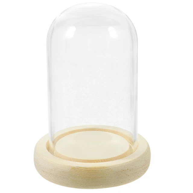 Lastdaytime Lot De 4 Présentoirs En Acrylique Avec Couvercles