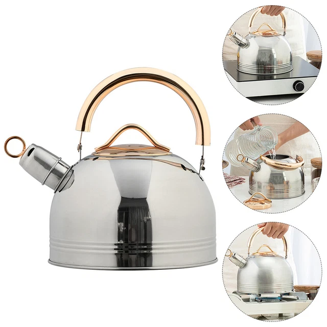Serving Tea Kettle Chirping Kettle Heated Mug Coffee Stainless Steel