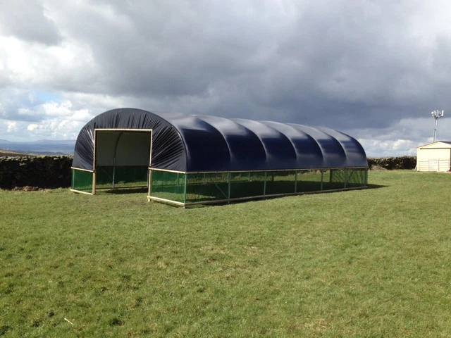 FIELD SHEEP SHELTER Livestock Barn Poly Tunnel 24ft Wide Sheep House field-sheep-shelter-livestock-barn-poly-tunnel-24ft-wide-sheep-house