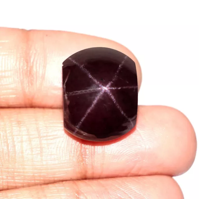 37 Cts GTL Certified Natural Star Garnet 18x15 MM Cabochon 6 Ray Star Garnet