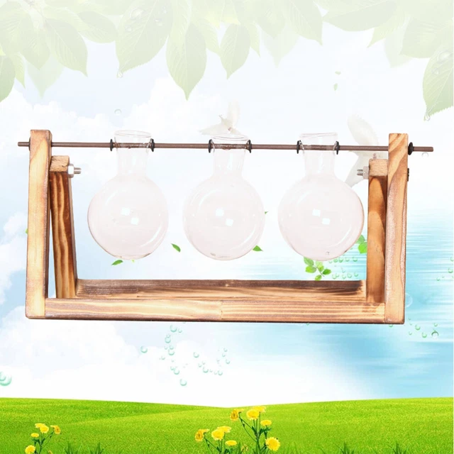 Pot Pour Plantes D'intérieur Vase À Bulbe Planteur Table Manger