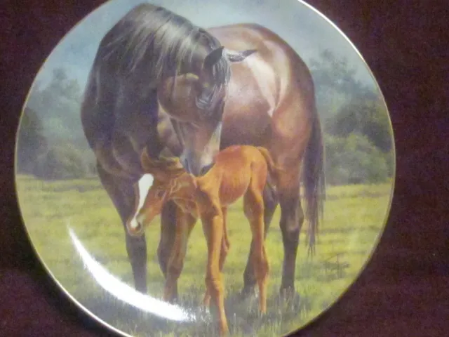 1989 Amer  Artists Fred Stone THE 1ST DAY Mare & Foal  Ltd Ed Plate Box & Papers