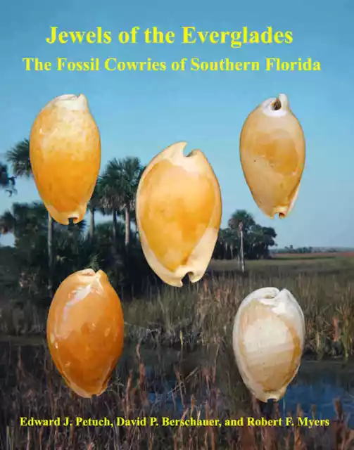 Jewels of the Everglades-The Fossil Cowries Of Southern Florida Book