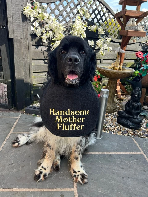 Big Dog Drool/Slobber Bib  Newfoundland,St Bernard, All Slobbery Breeds