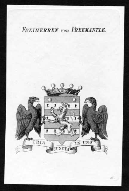 1820 - Freemantle Emblem Nobility Coat Of Arms Heraldry Copperplate