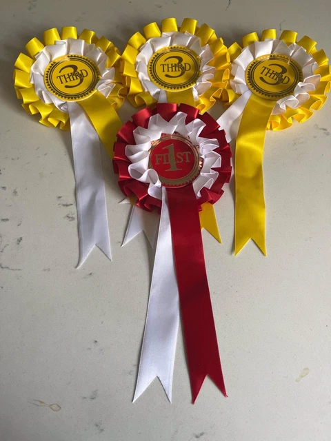 5 Dog Show Rosette 2 Livelli in raso di qualità 3x terzo posto 1x primo posto