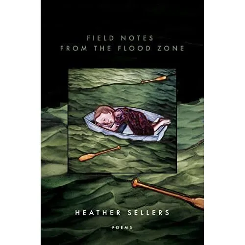 Feldnotizen aus dem Hochwassergebiet (American Poets Contin - Taschenbuch NEU Verkäufer,