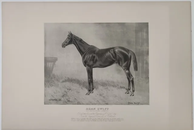 Antique Lithograph Horse Print DEAN SWIFT by Alfred Charles Havell LARGE SIZE