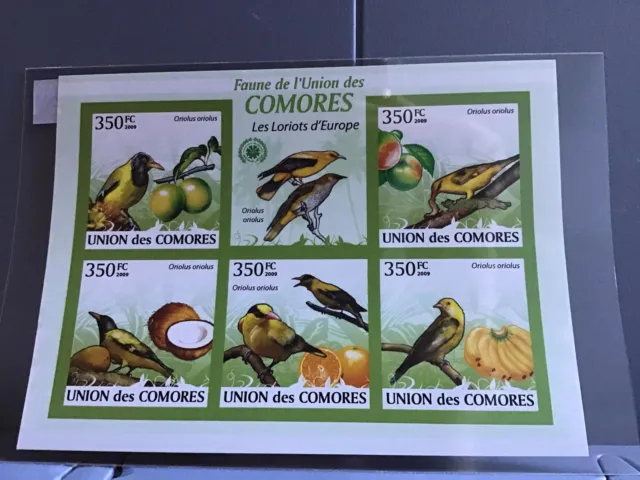 Comoro Islands 2009 Fruits Birds mint never hinged stamps sheet R24106