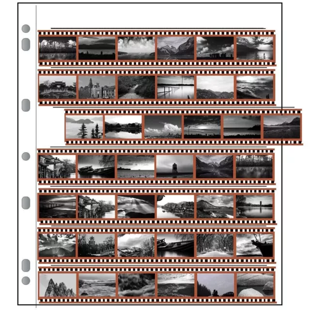 20x Print File Archival 35mm Negative Pages Sleeves Storage Film 35-7B 7 Strips