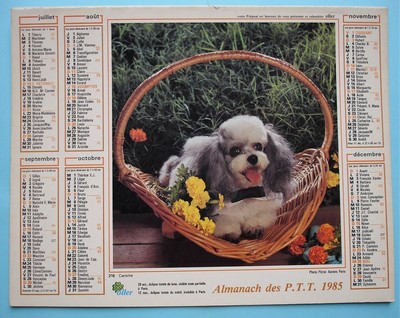 CALENDRIER ALMANACH PTT 2001 oller chat chiots dep 77 seine et marne 