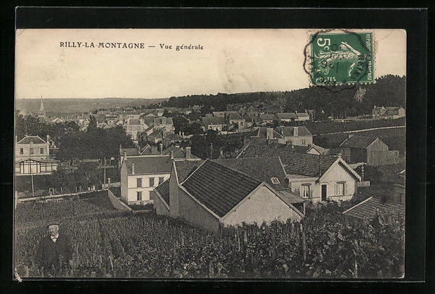 CPA Rilly-La-Montagne, Vue generale
