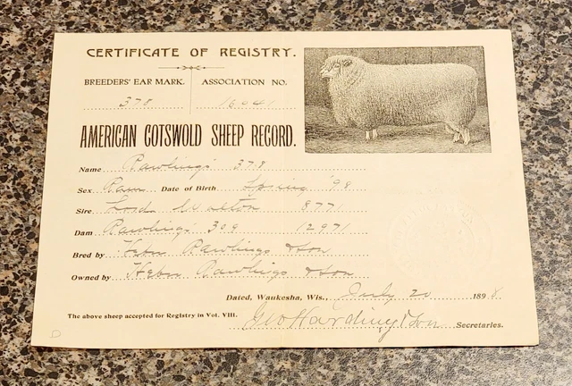 Antique 1898 AMERICAN COSTWOLD SHEEP RECORD Certificate of REGISTRY Wisconsin