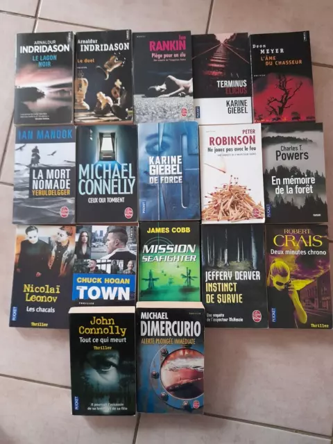 Lot 17 Livres Policier/Thriller: Indridason/Connelly/Meyer/Giebel/Cobb/Leonov..