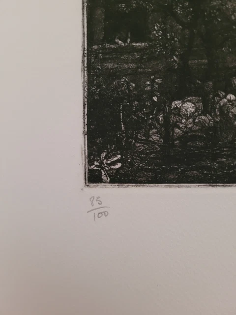 Lithographie signée et numérotée décor d'oiseau et de chat signature à identifie 4