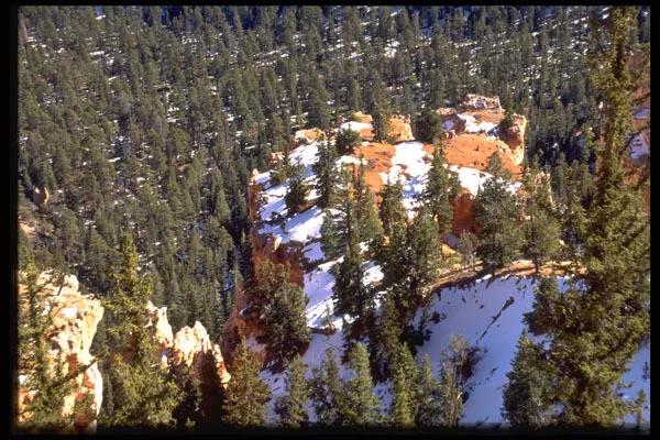 316044 Cliff Top Bryce Canyon A4 Photo Print