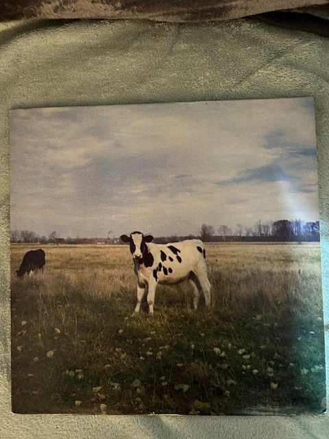 Dark Side of the Moo lp The Screaming Abdabs [Pink Floyd]