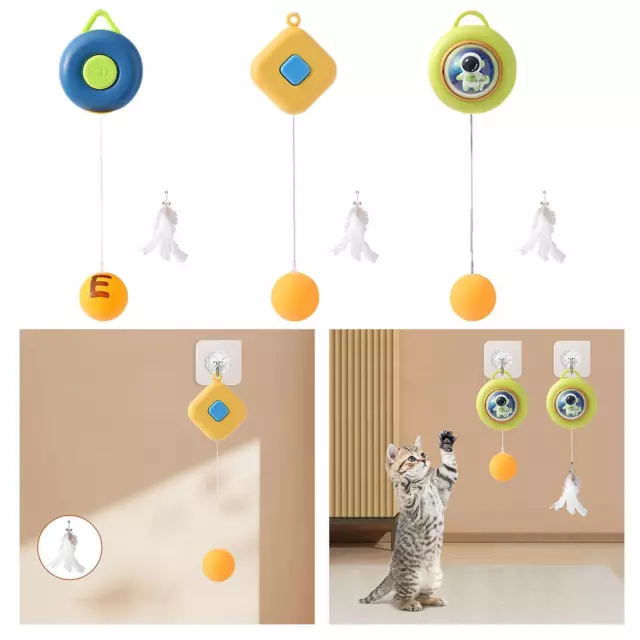 Jouets interactifs pour chat Tennis de  Teaser  Jouet, Jouets d'exercice pour