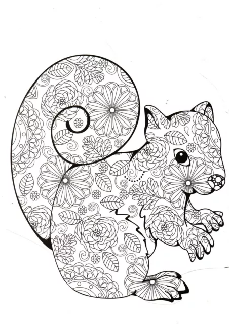 squirrel sewing embroidery iron on transfers (no  685 )