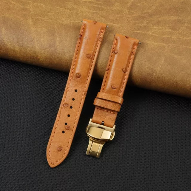 Tan Genuine Ostrich Watch Band Strap Padded Soft Leather Gold Deployment Classic