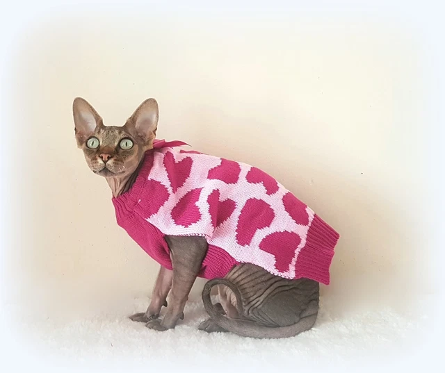 PINK HEARTS WINTER sweater for a Sphynx cat, cat clothes