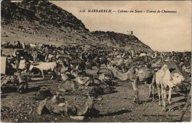 CPA AK MAROC MARRAKECH Colonne du Souss Convoi de Chameaux (10569)