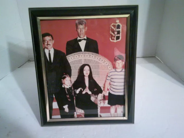 The Adams Family 8x10 Photo Color Original AGFA in Black Frame