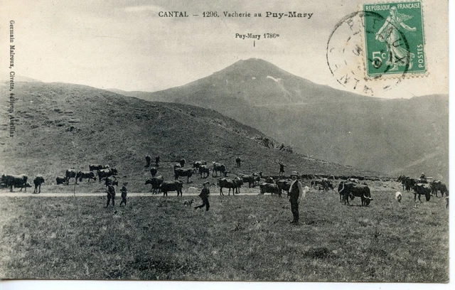 Postcard // Le Cantal // Cowherie Au Puy Mary