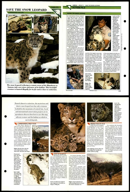 SAVE THE SNOW Leopard #81 Conservation Wildlife Fact File Fold-Out Card