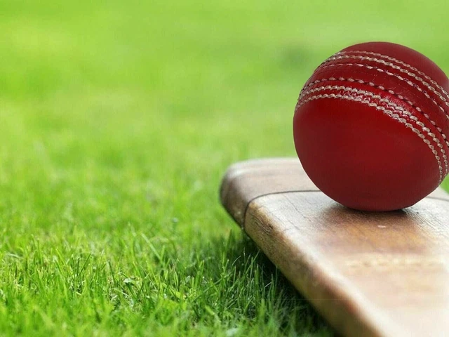 Balle de cricket de qualité supérieure en cuir de cricket de première...