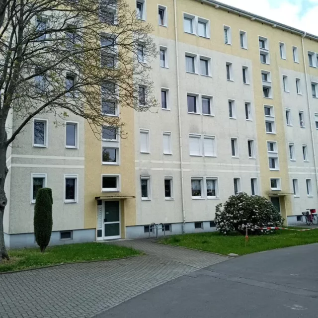 wohnung zur miete 3 zimmer