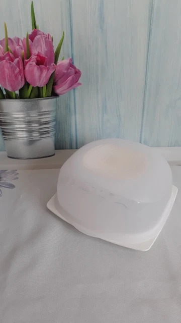 Tupperware KäseMax Mini – Aufbewahrungsbox Für Käse Mit Foliengitter, Türkis, Spülmaschinenfest (Original)