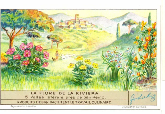 S1354- Chromo Liebig - 1937 -  " La Flore De La Riviera " : 5. Vallee Laterale