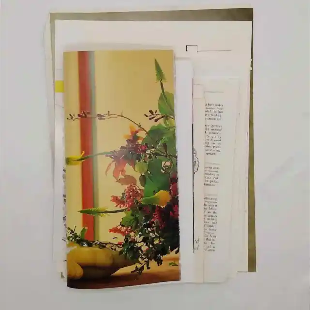 Páginas de libros de plantas y animales, páginas de libros de flora y fauna, páginas de libros vintage
