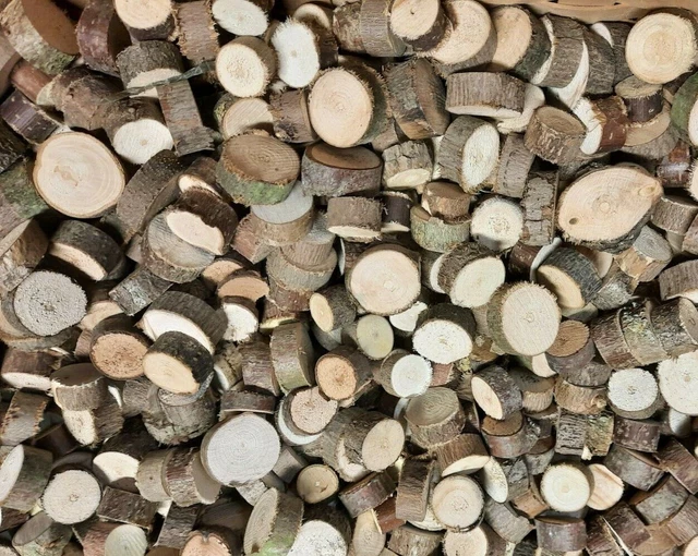 50 Holzscheiben Ø 1-6 cm x 10 mm  Astscheiben Floristik Basteln Deko Hartholz