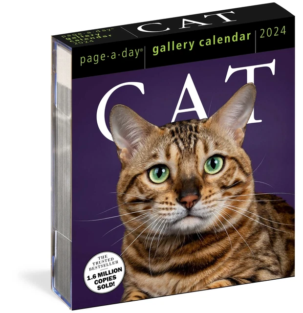 CAT PAGEADAY GALLERY Calendar 2025 A Delightful Gallery of Cats for