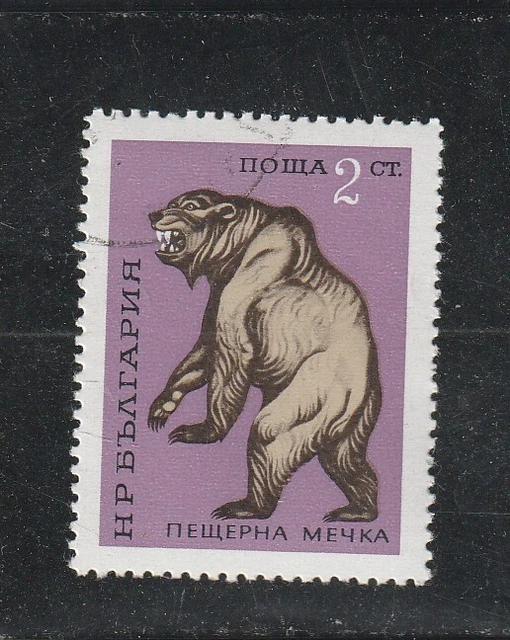 L5905 BULGARIE TIMBRE Y&T N° 1861 de 1971 " Ursus spelaeus " Oblitéré