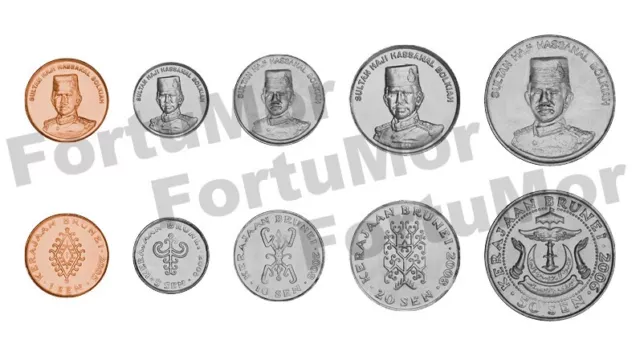 Brunei Darussalam UNC 5 Pcs COIN Set , 1 5 10 20 50 Sen 2005 2008